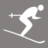 Ski